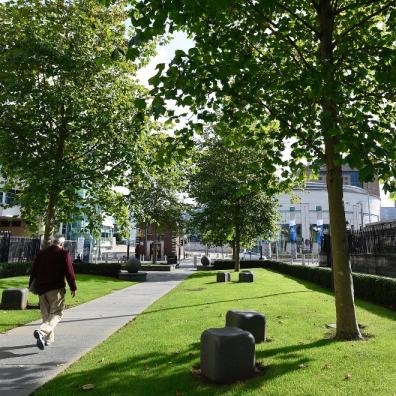 Councils share £600K cash boost to plant trees in the heart of communities in the South west