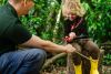 Home Education at The Forest School at Totnes